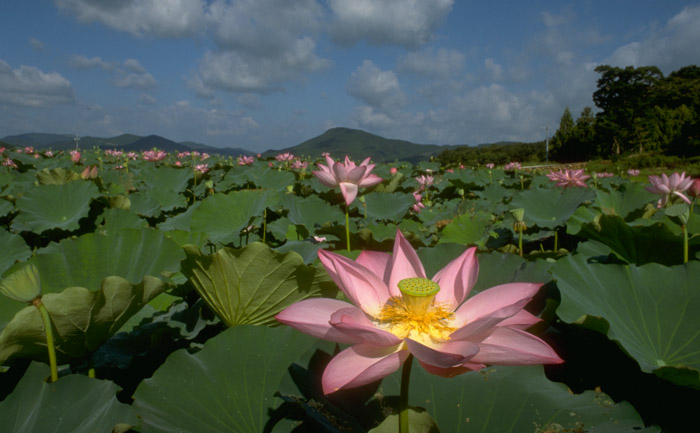 葬儀のイメージ